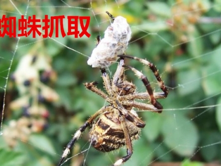 浅谈企业对于营销型网站建设存在的四个误解